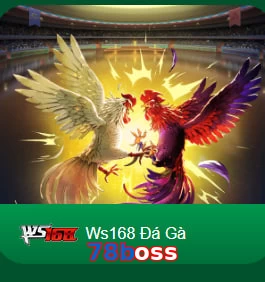 78boss